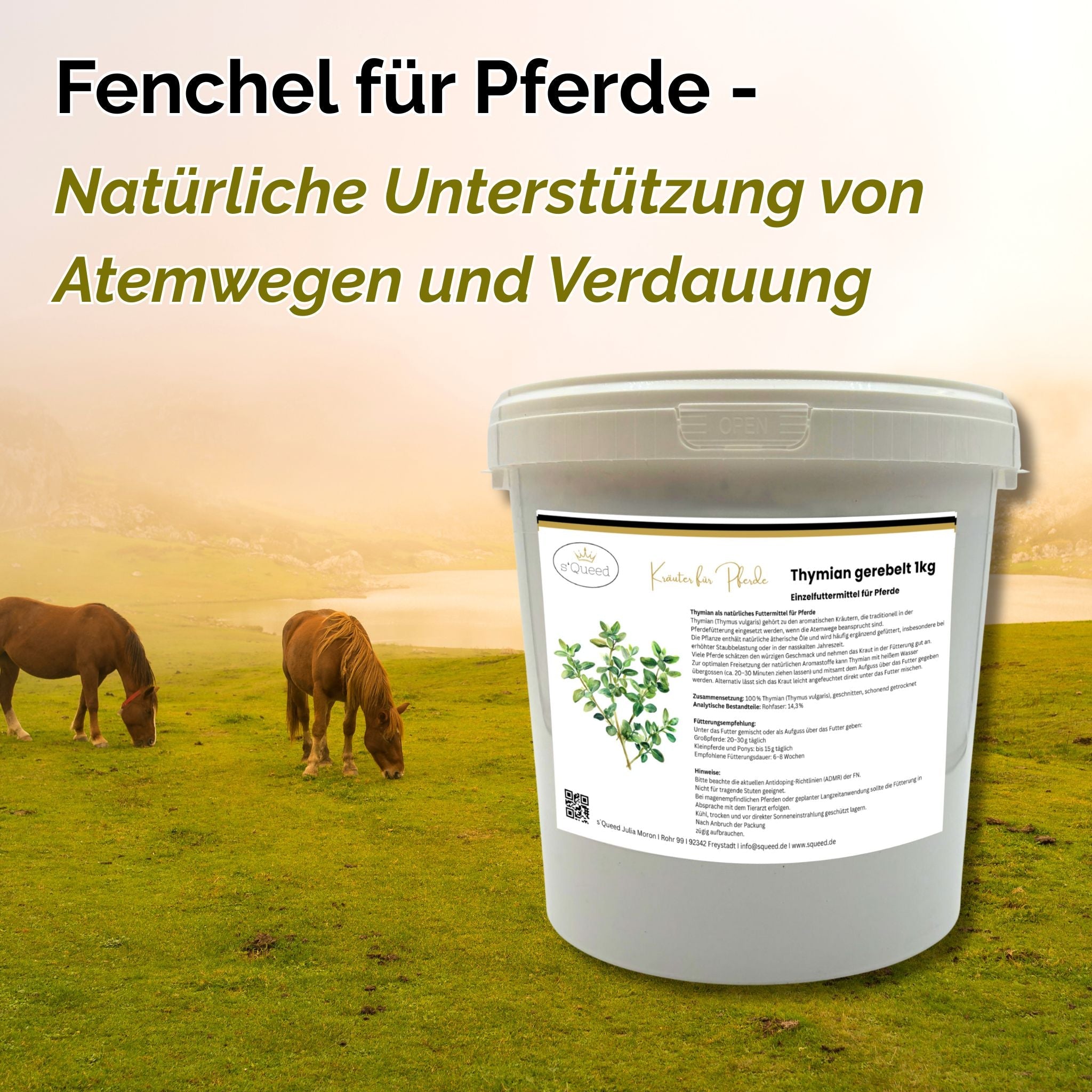 Fenouil pour chevaux 1 kg