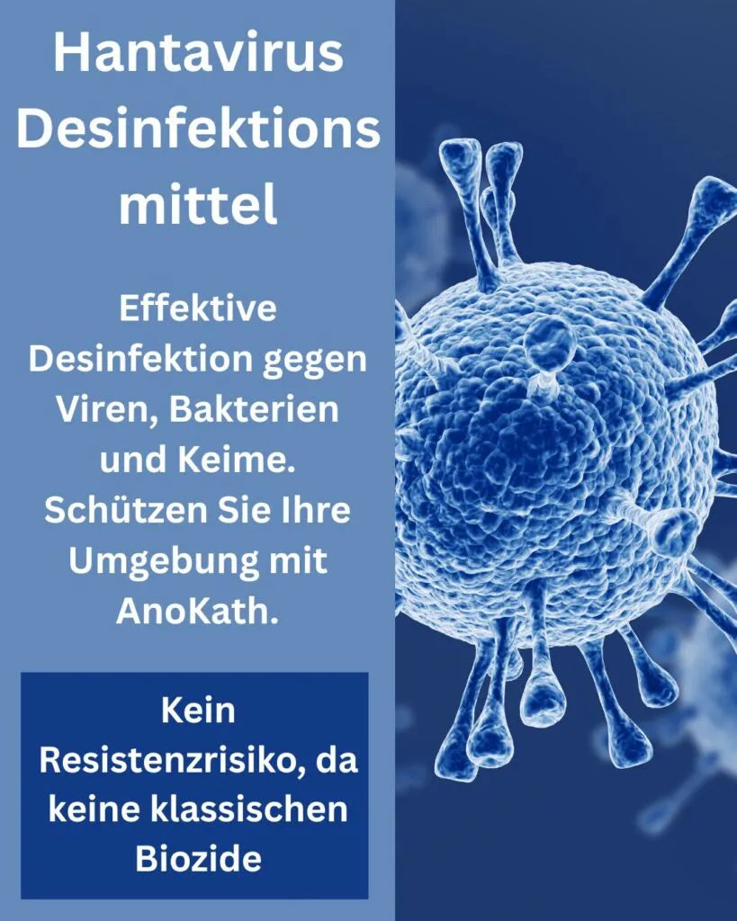 Sichere Hantavirus Desinfektion bei Mäusekot mit AnoKath Medical