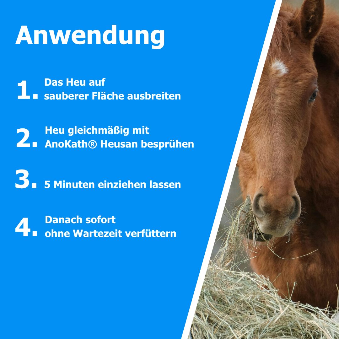 Heu-Hygiene: AnoKath heuSan Konzentrat zur Behandlung von Heuoberflächen