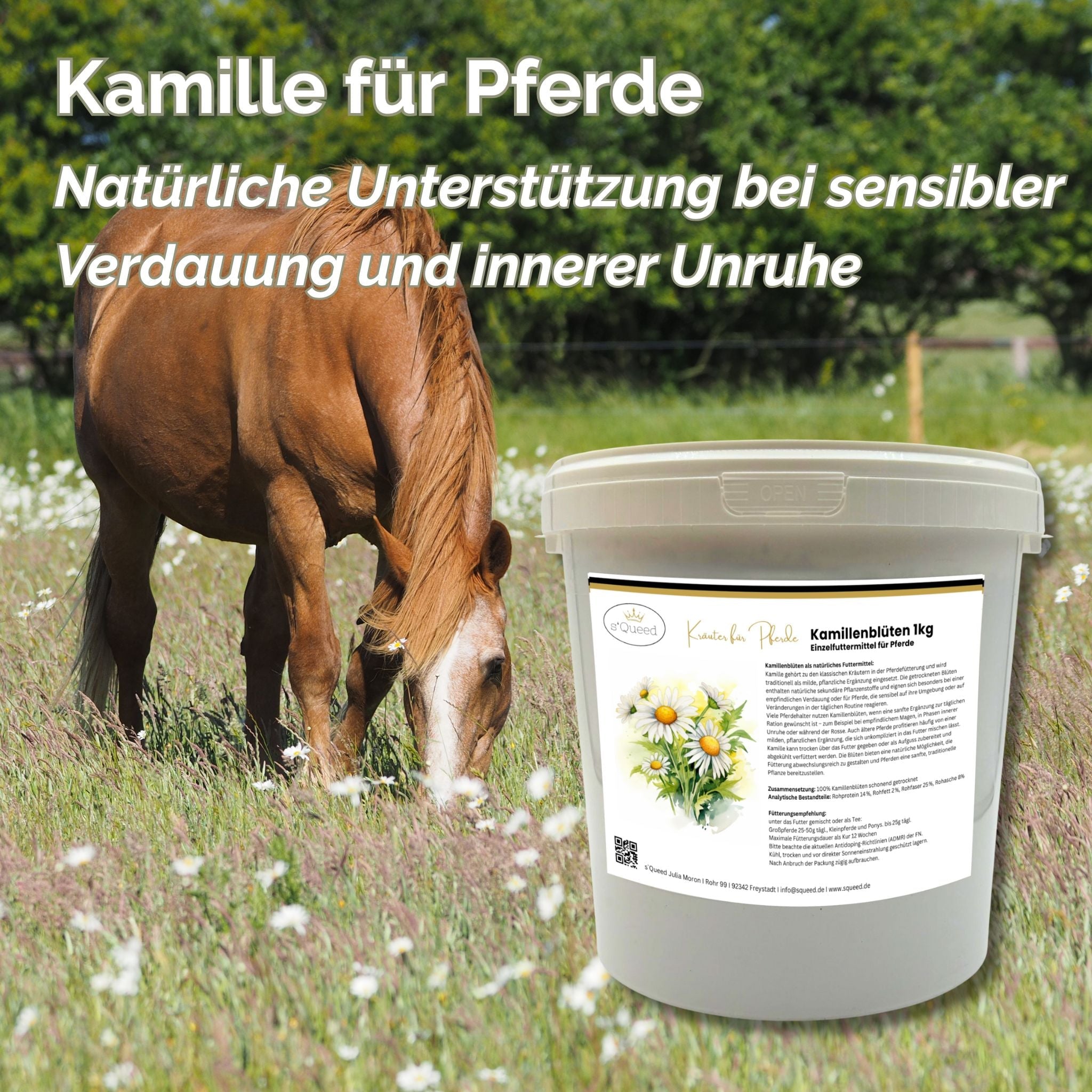 Camomille pour chevaux, 1 kg de fleurs entières