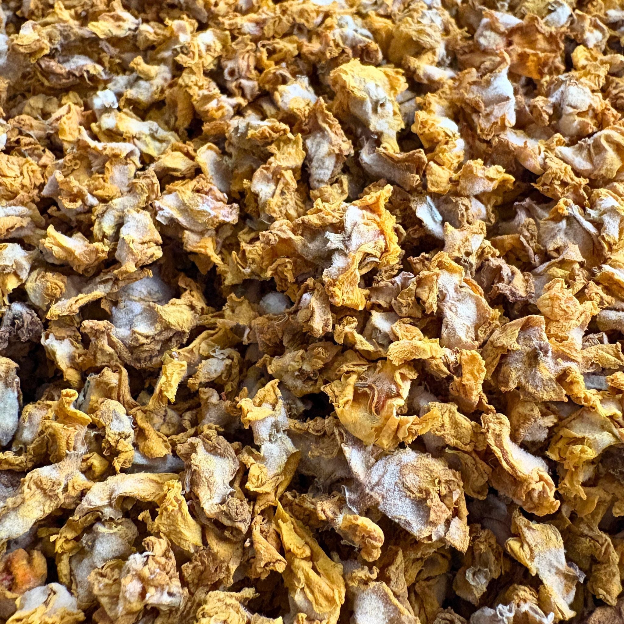 Fleurs de molène pour cheval 500g