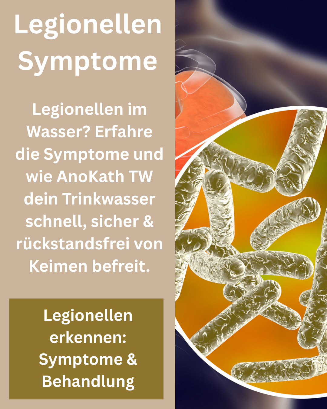 Legionellen Symptome