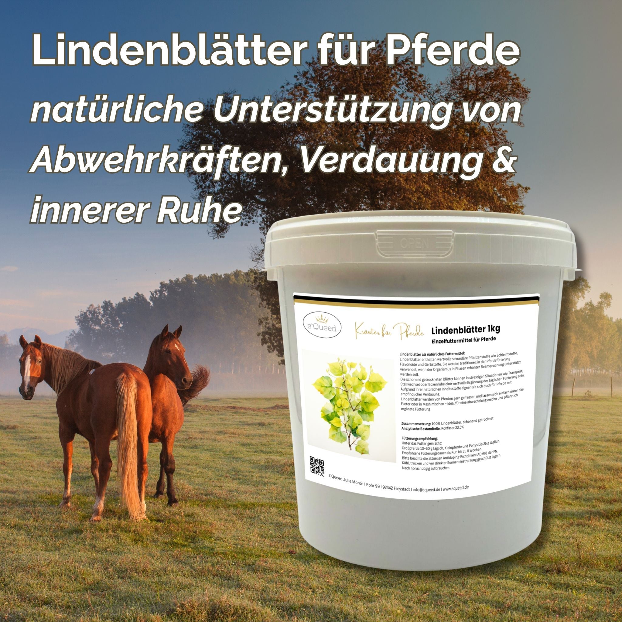 Feuilles de tilleul pour chevaux 1 kg