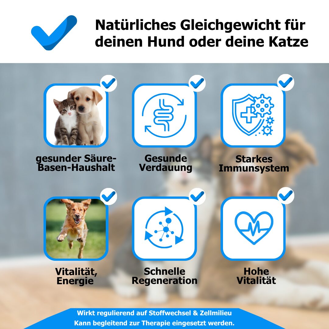 Säure-Basen-Ausgleich für Tiere – Ergänzungsprodukt zur Unterstützung