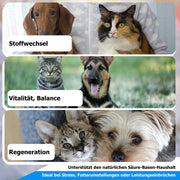 Säure-Basen für Tiere – Unterstützung des Wohlbefindens im Alltag