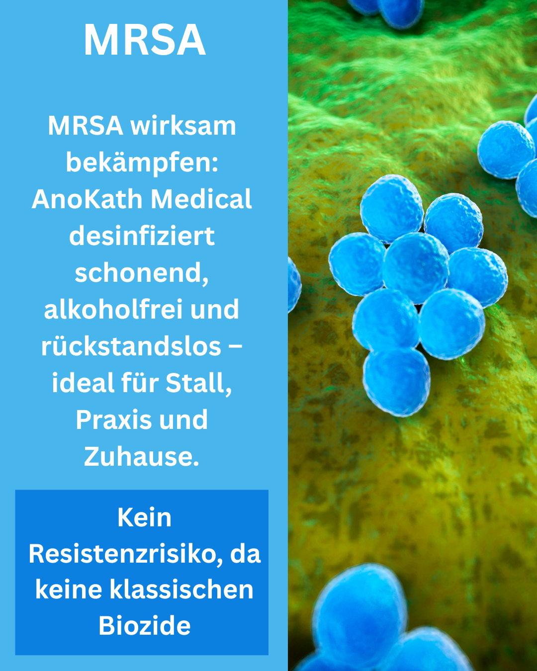 MRSA