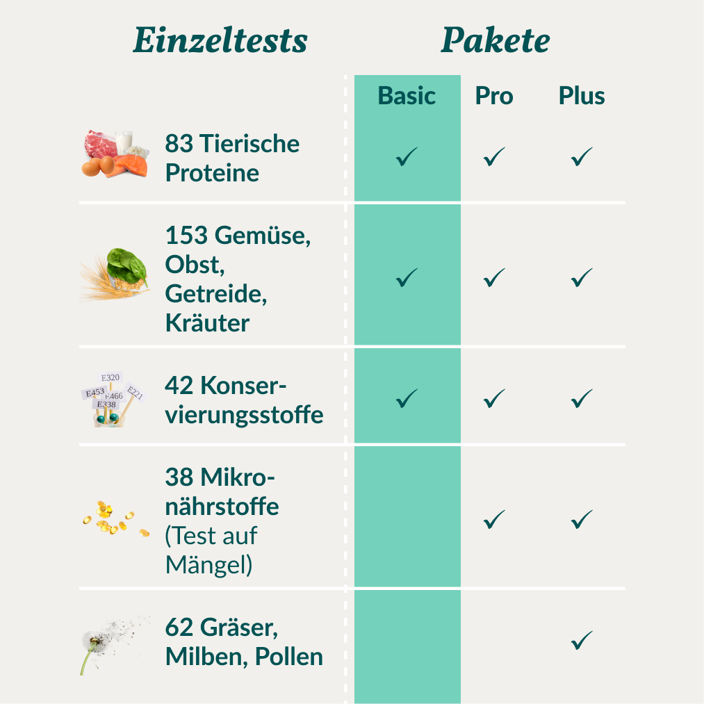 Test d'allergie de base pour chats