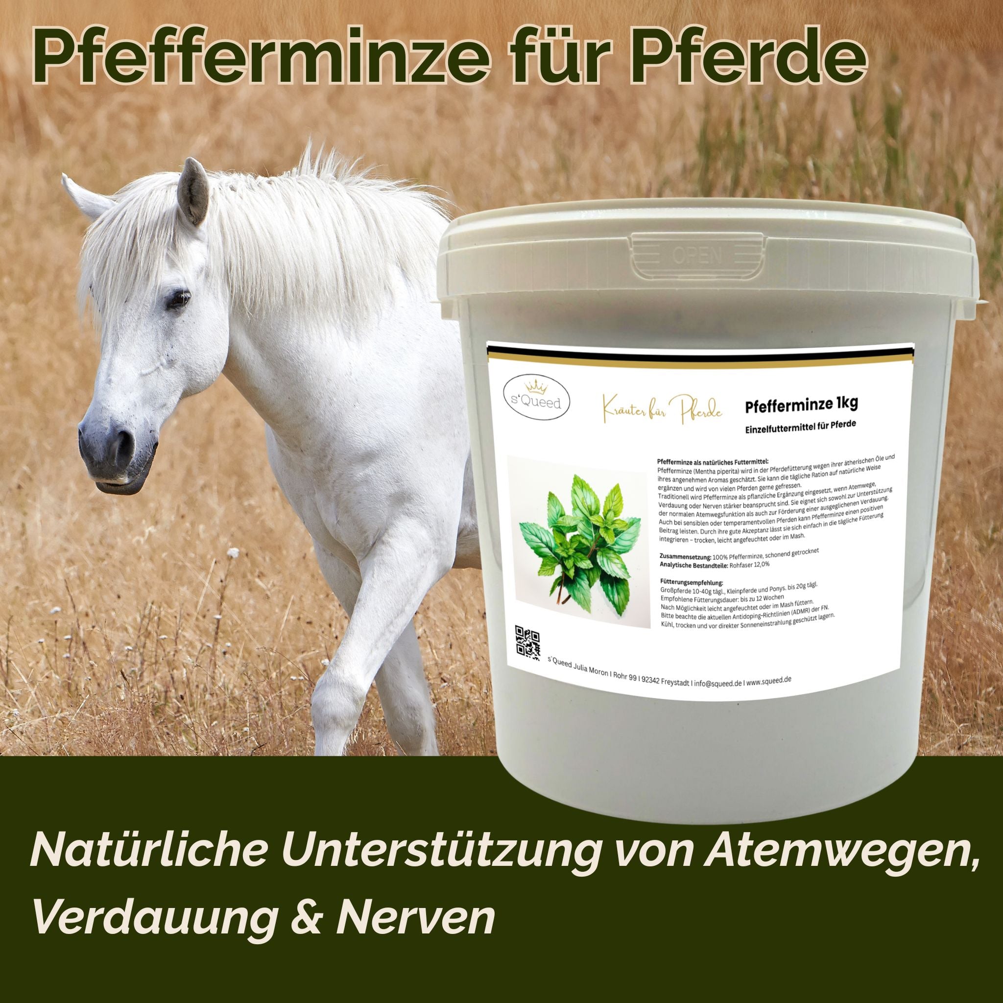 Menthe poivrée pour chevaux 1 kg