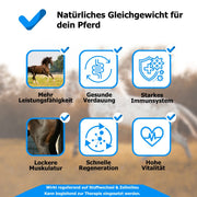 Pferd: Säure-Basen-Ausgleich – Unterstützung des Fütterungsmanagements