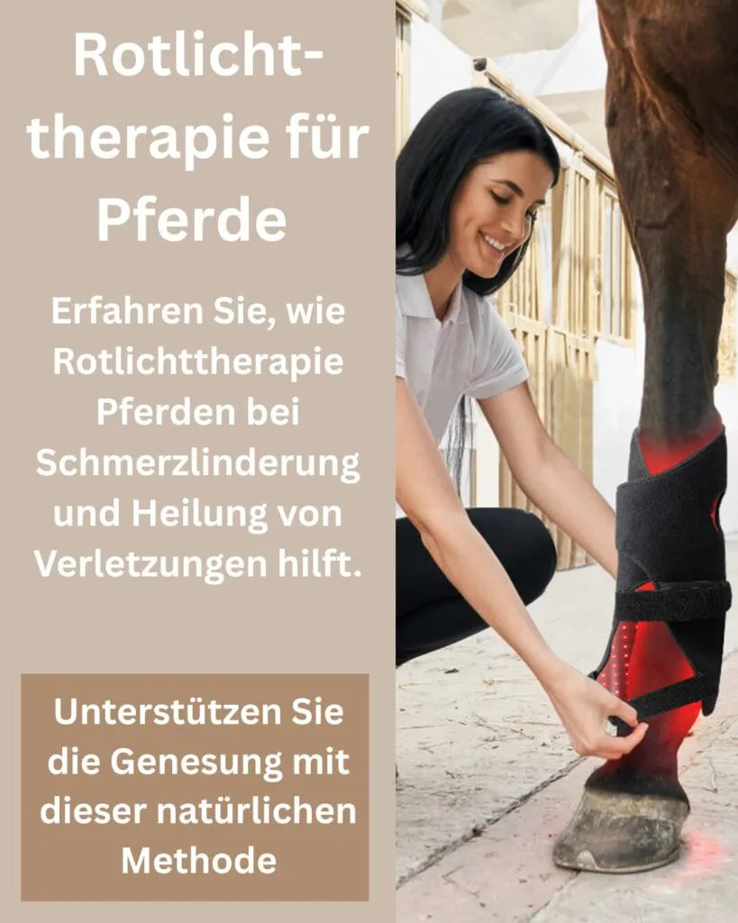 Rotlichttherapie Pferd