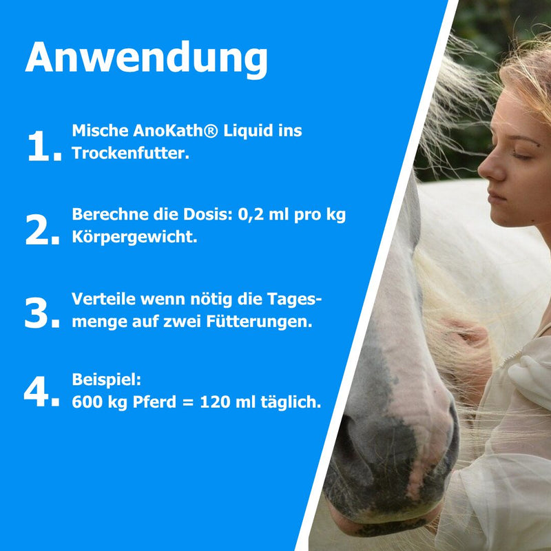 Säure-Basen-Ausgleich für Pferde – Anwendung im Futter