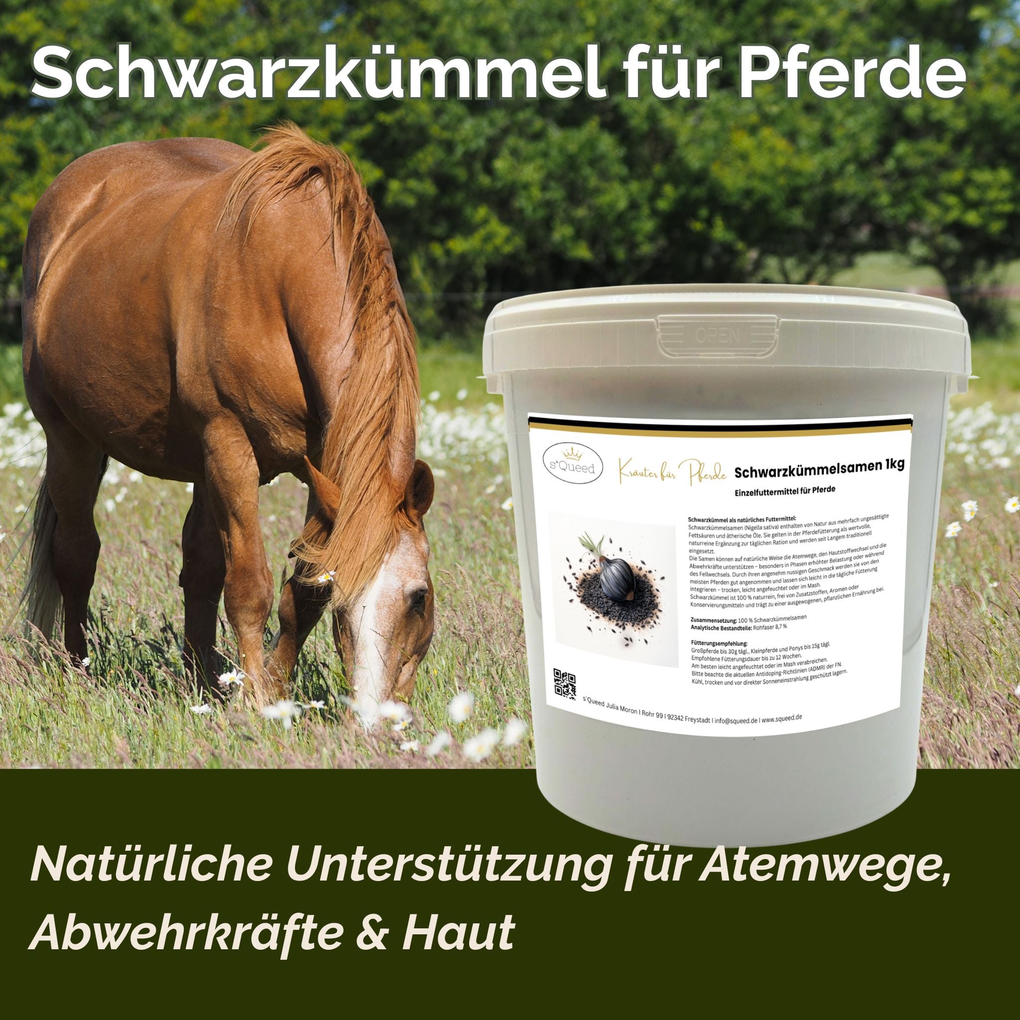 Cumin noir pour chevaux 1 kg