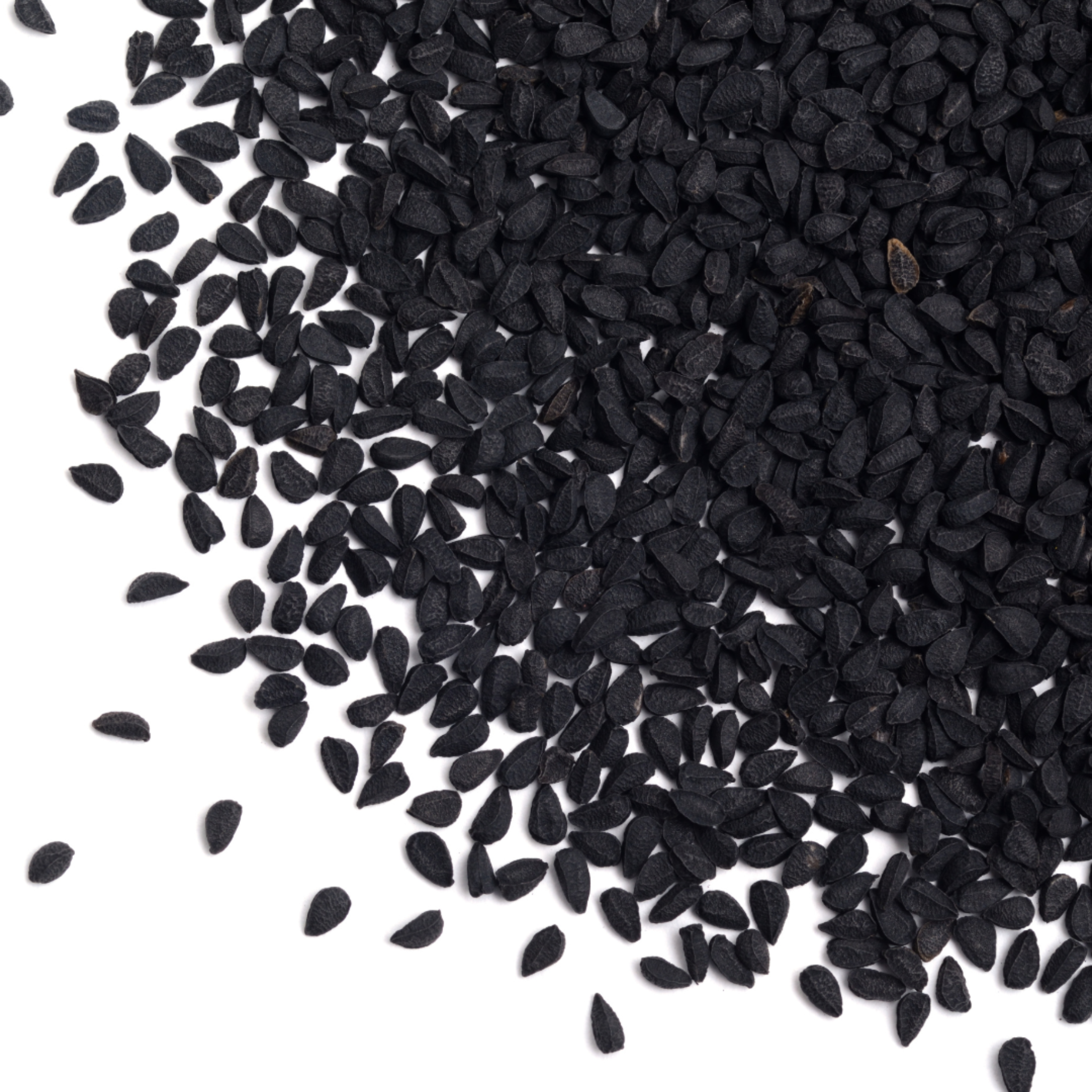 Cumin noir pour chevaux 1 kg