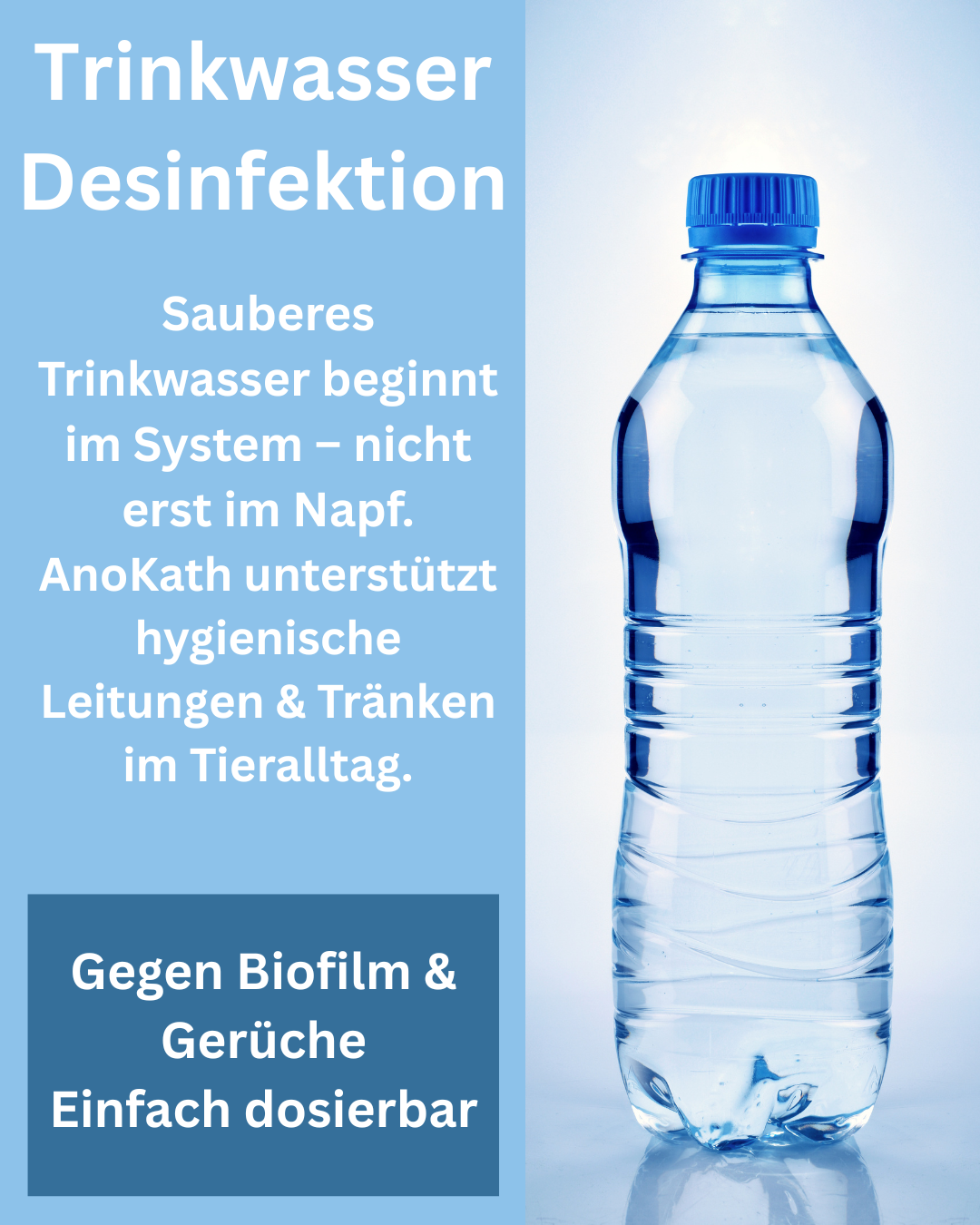 Trinkwasser Desinfektion