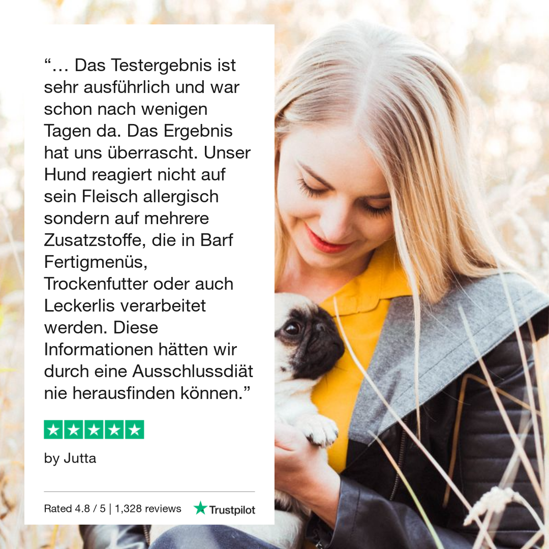 Allergietest Pro Katze