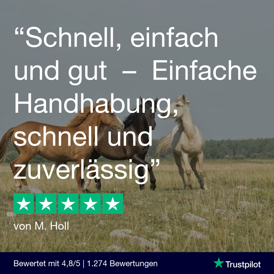 Lungenwurmtest Pferd