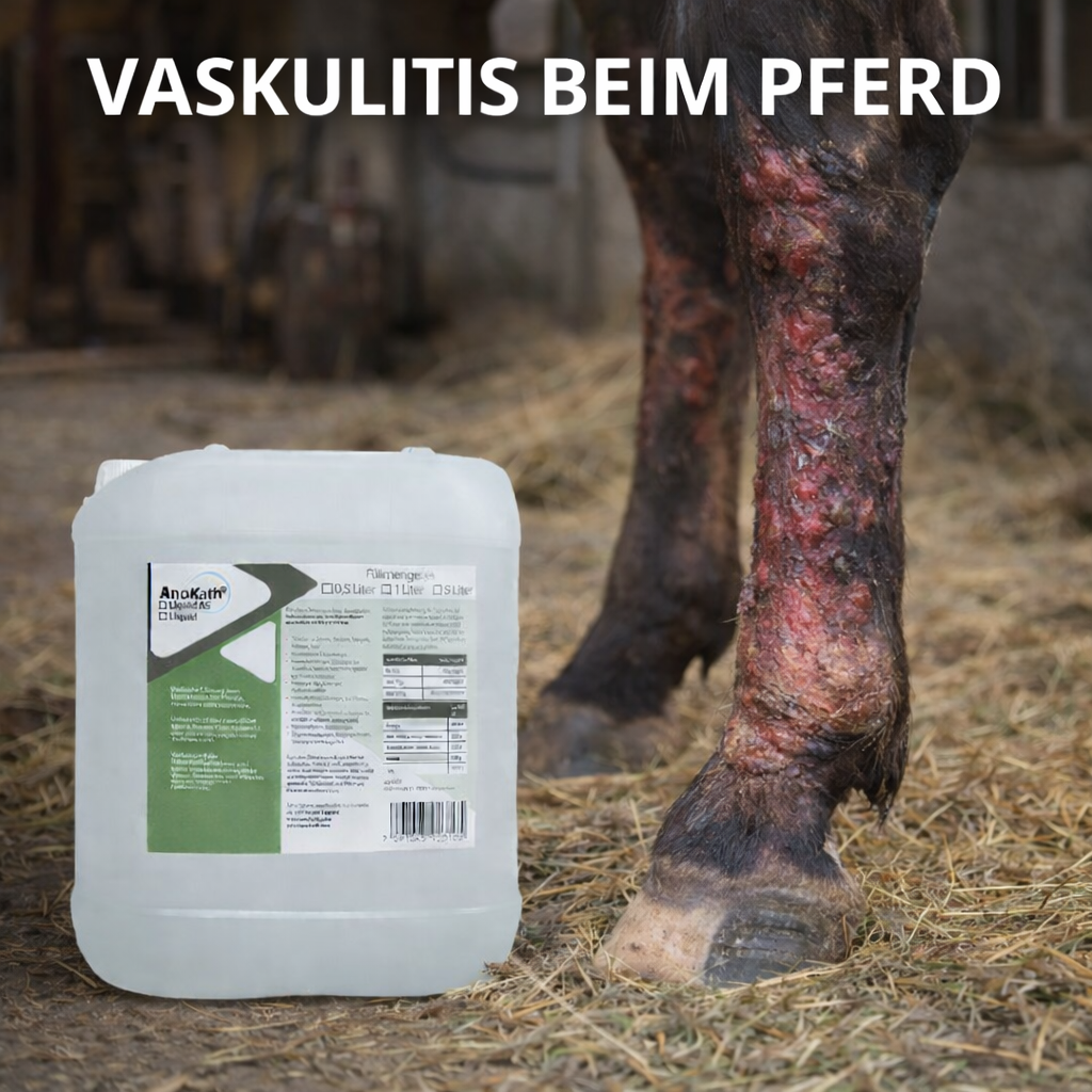 Treating vasculitis in horses
