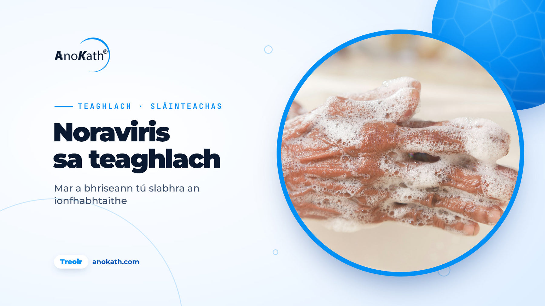 Lámha á nite le gallúnach ag doirteal, íomhá chlúdaigh don treoir ar an noraviris