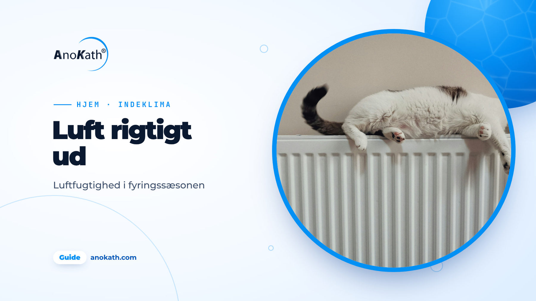 Kat sover udstrakt på en hvid radiator, forsidebillede til guiden om luftfugtighed i boligen