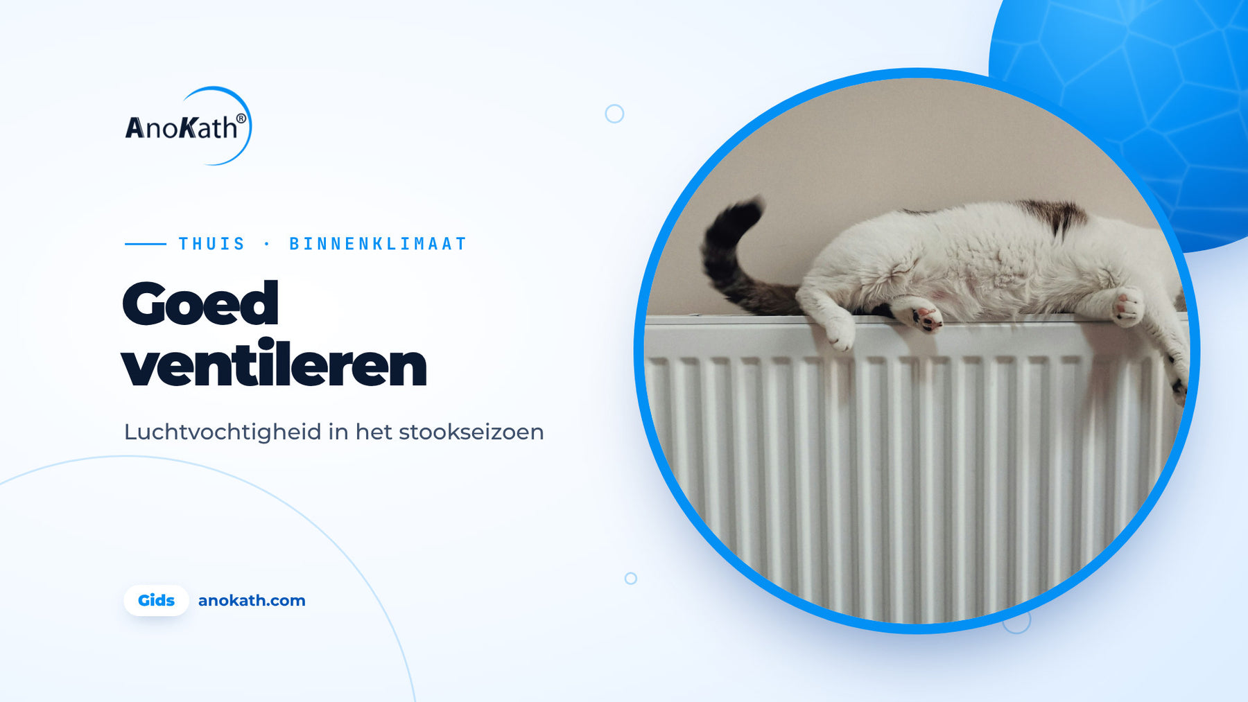 Kat slaapt languit op een witte radiator, omslagafbeelding bij de gids over luchtvochtigheid in huis