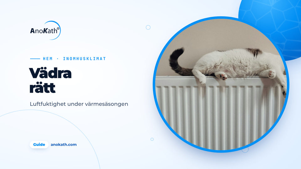 Katt sover utsträckt på ett vitt element, omslagsbild till guiden om luftfuktighet i bostaden
