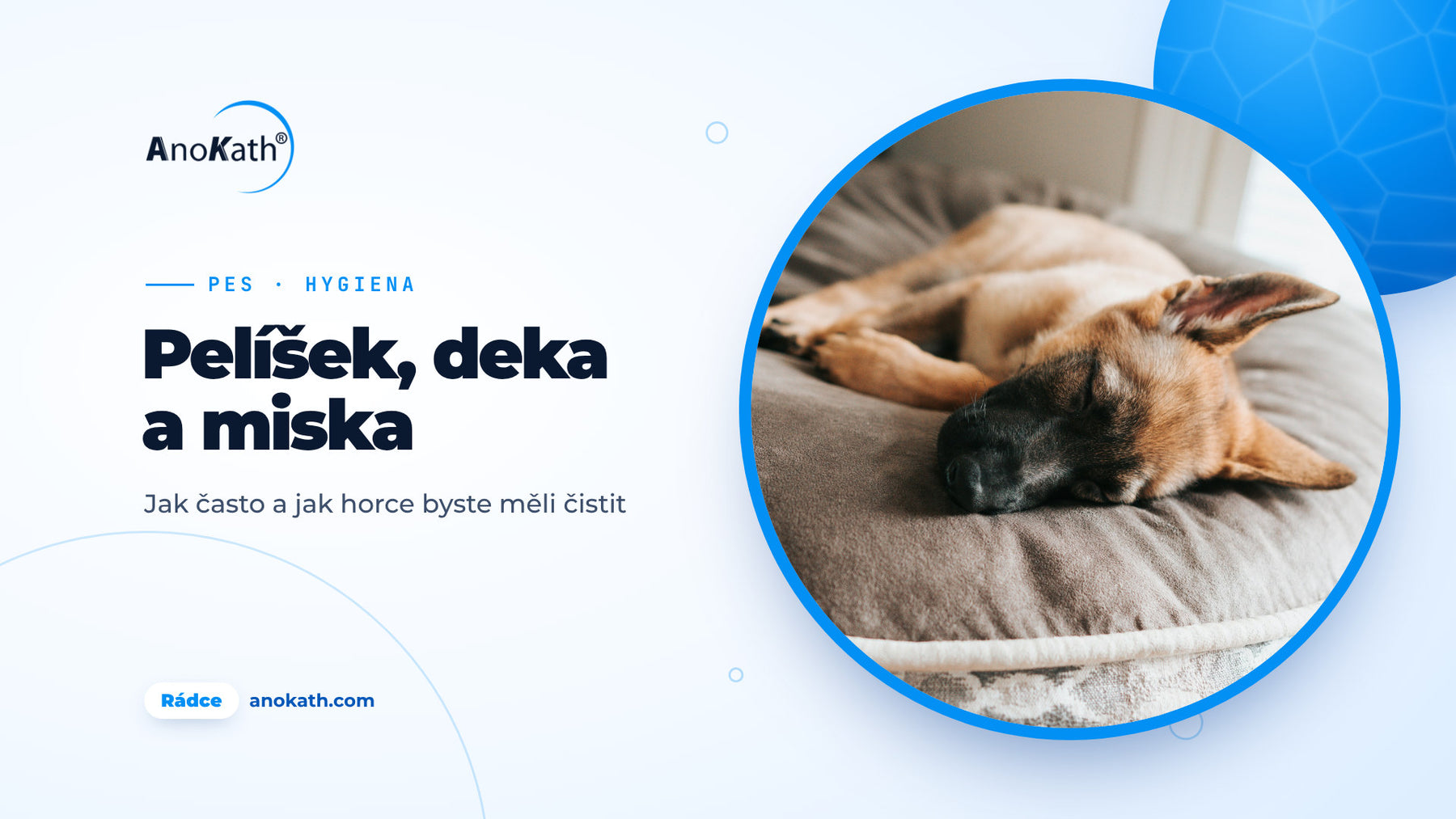 Mladý ovčák spí na šedém psím pelíšku, titulní obrázek rádce o čištění psího pelíšku