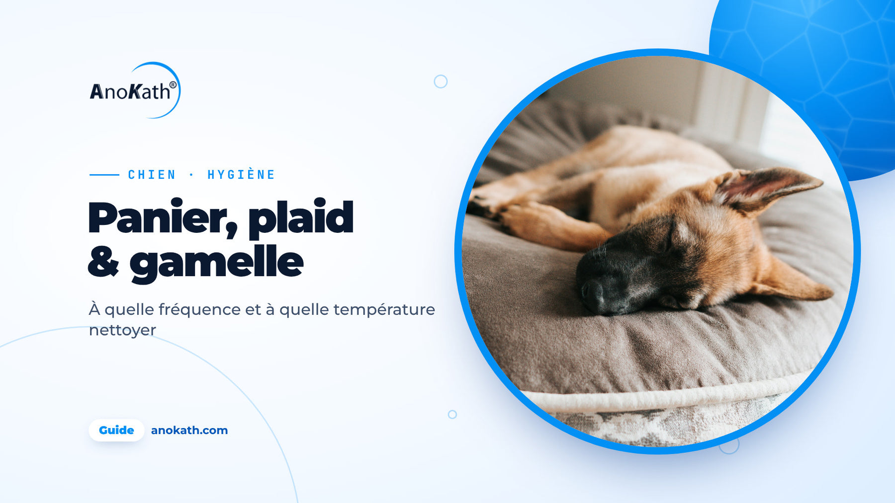 Jeune berger allemand dormant sur un coussin gris pour chien, image de couverture du guide sur le nettoyage du panier du chien