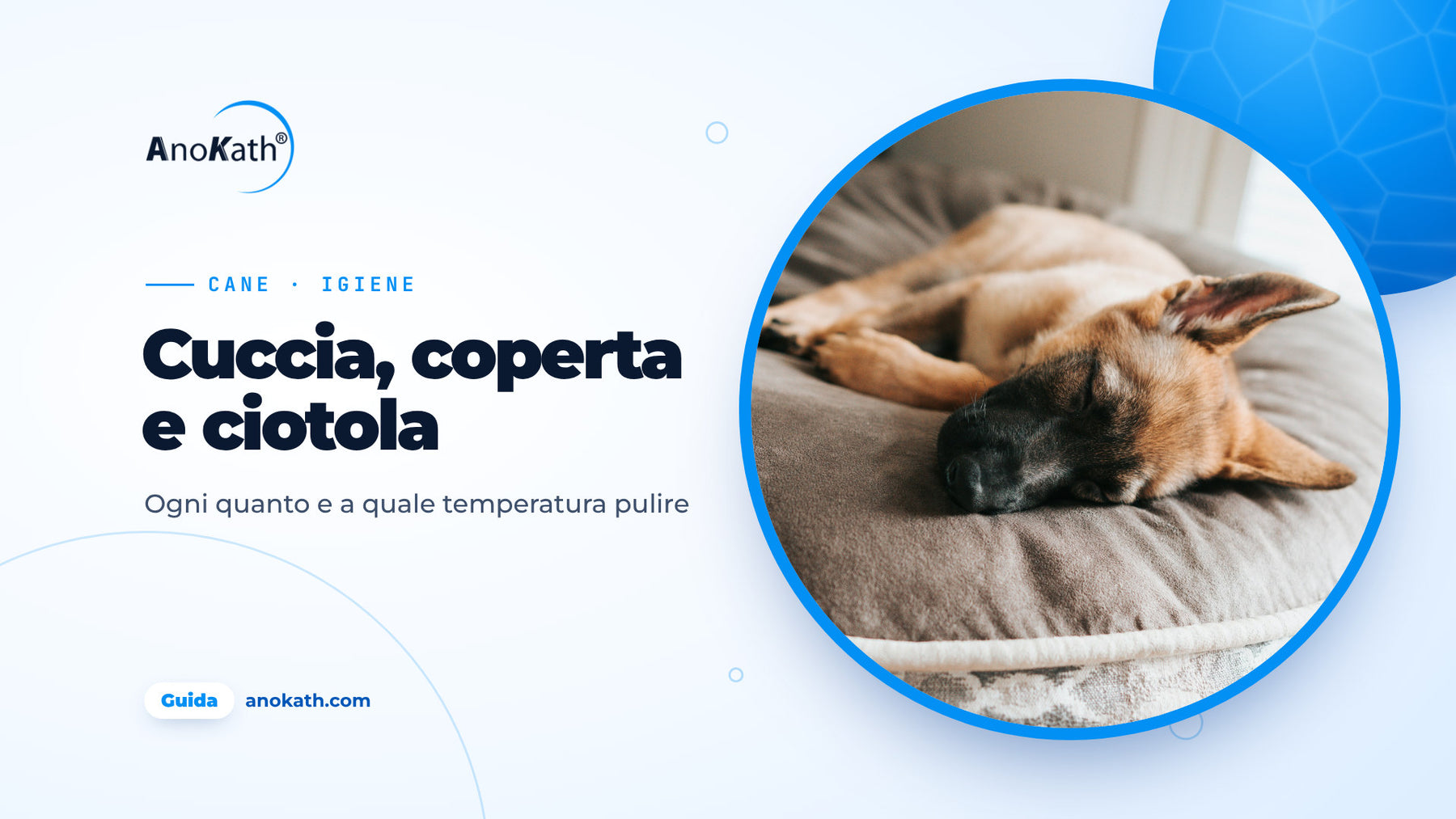 Giovane pastore tedesco dorme su una cuccia grigia, immagine di copertina della guida su come pulire la cuccia del cane