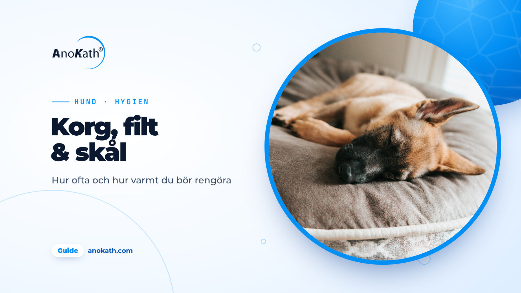 Ung schäferhund sover på en grå hundbädd, omslagsbild till guiden om att rengöra hundkorg