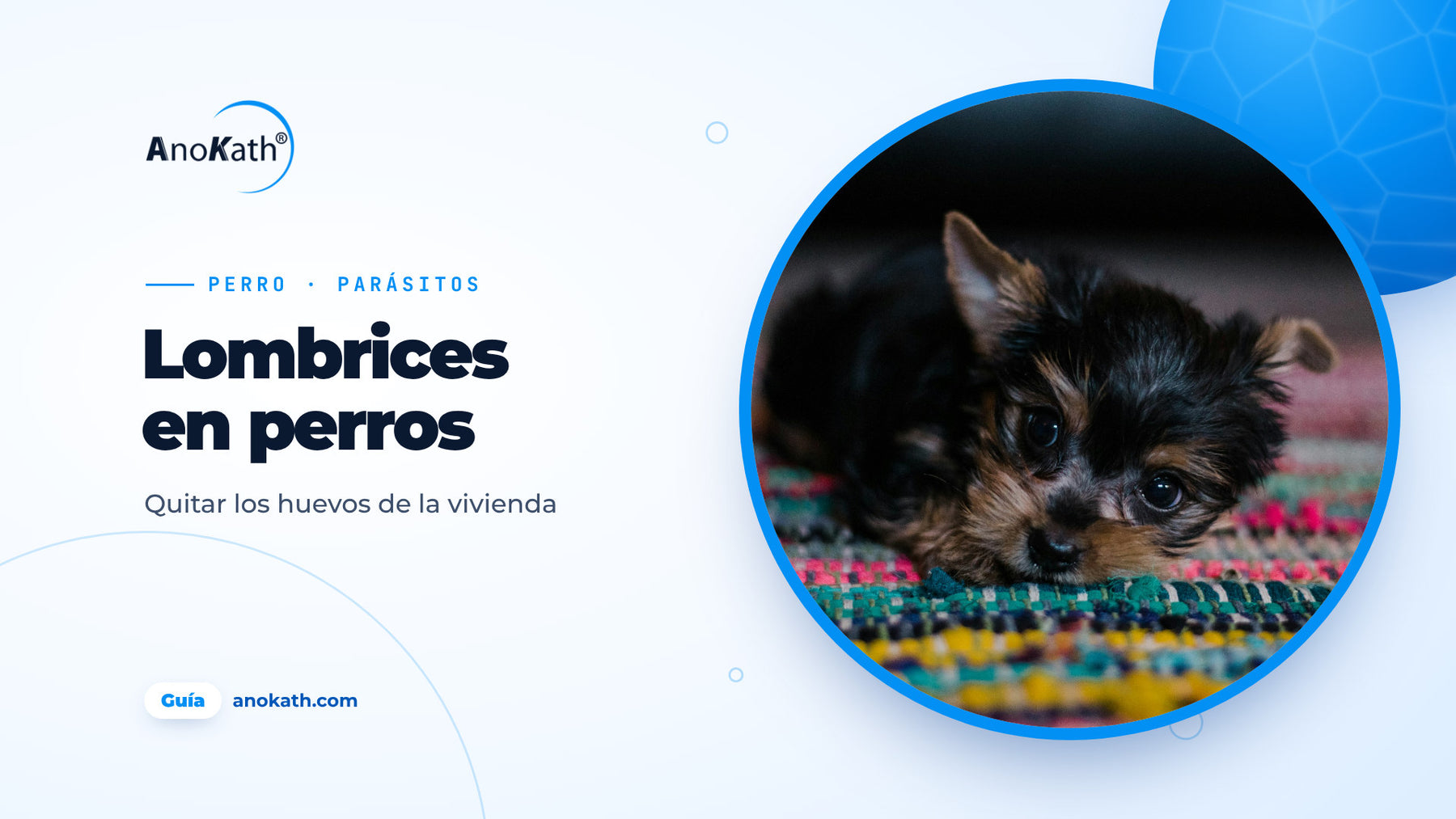 Cachorro negro y marrón tumbado sobre una alfombra de colores, imagen de portada de la guía sobre las lombrices en perros y los huevos en casa