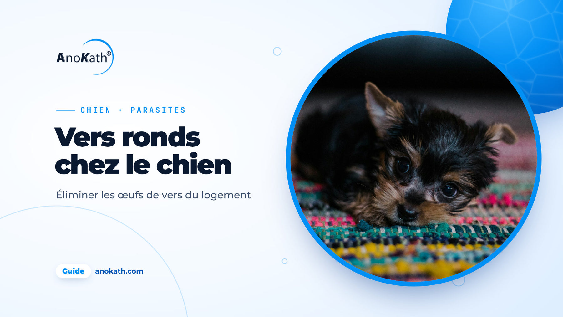 Chiot noir et brun couché sur un tapis coloré, image de couverture du guide sur les vers ronds du chien et les œufs de vers dans le logement