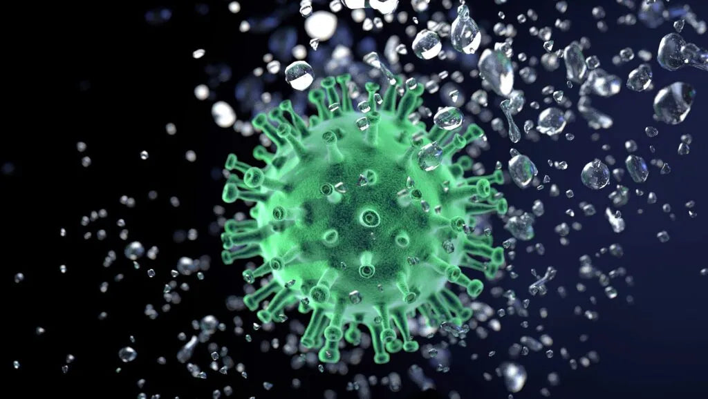 Norovirus