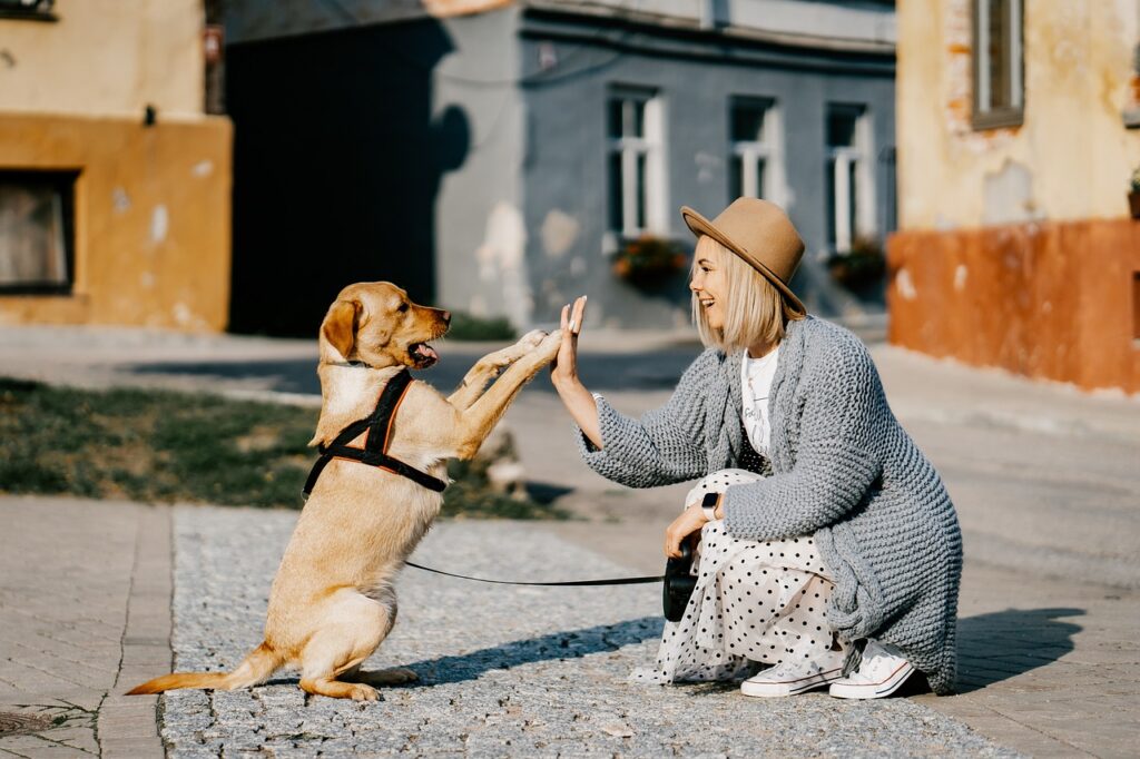 Immunsystem Hund stärken